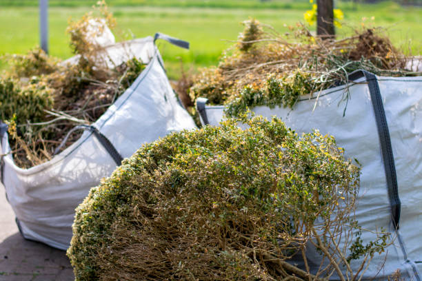 Debris Removal in Tokeneke, CT